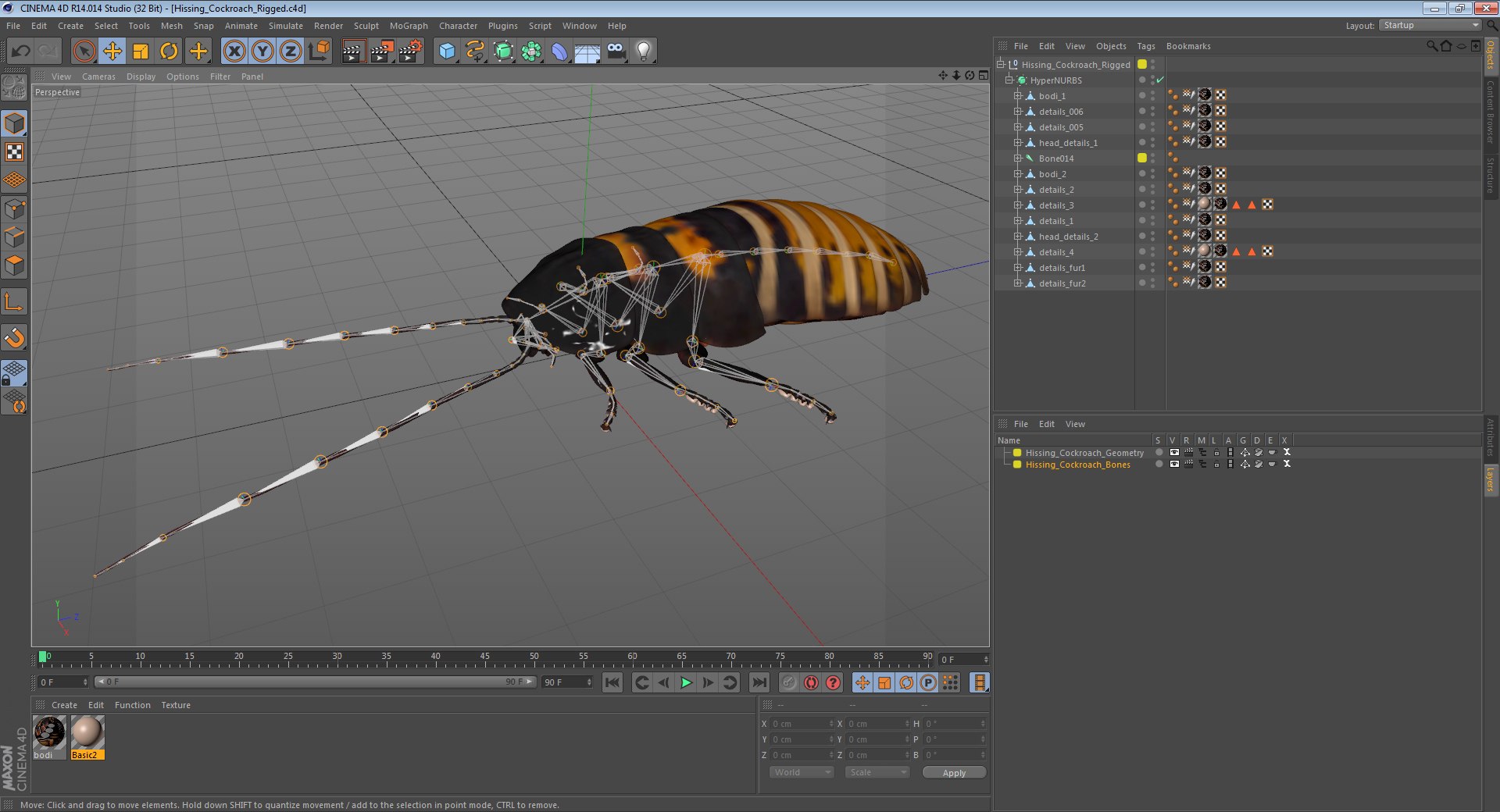 3D insects big 2 rigged model https://p.turbosquid.com/ts-thumb/Pu/dSCHdK/vvleC0P4/hissingcockroachriggedcinemac4d3dmodel014/jpg/1583561438/1920x1080/fit_q87/1e59ef38309f185d7131c7350d1af19f59170f40/hissingcockroachriggedcinemac4d3dmodel014.jpg