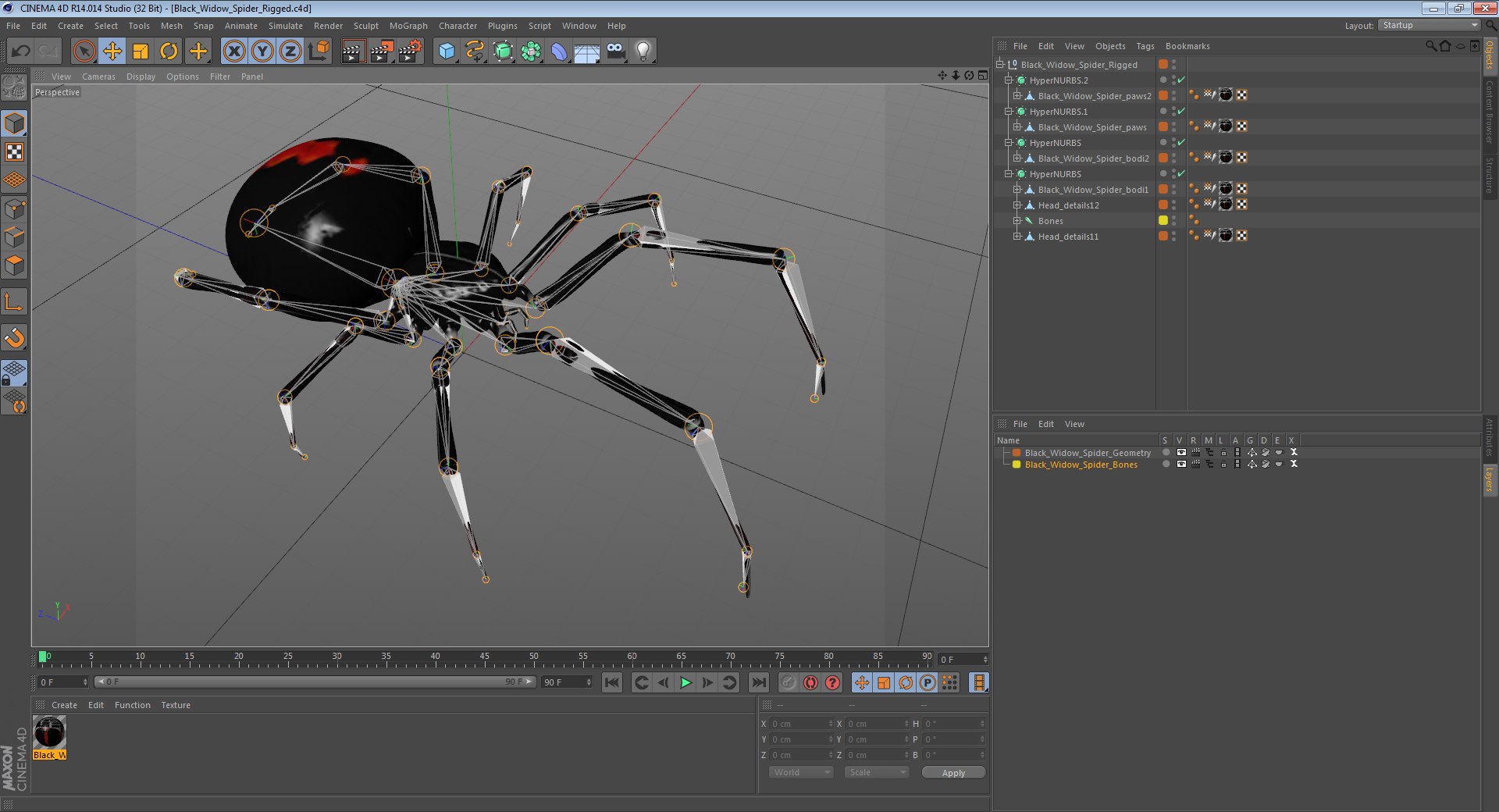 3D insects big 2 rigged model https://p.turbosquid.com/ts-thumb/Pu/dSCHdK/wWWDseSQ/blackwidowspiderriggedcinemac4d3dmodel23/jpg/1583561437/1920x1080/fit_q87/d02584facafc3a10993d8139308cfd46241339ec/blackwidowspiderriggedcinemac4d3dmodel23.jpg
