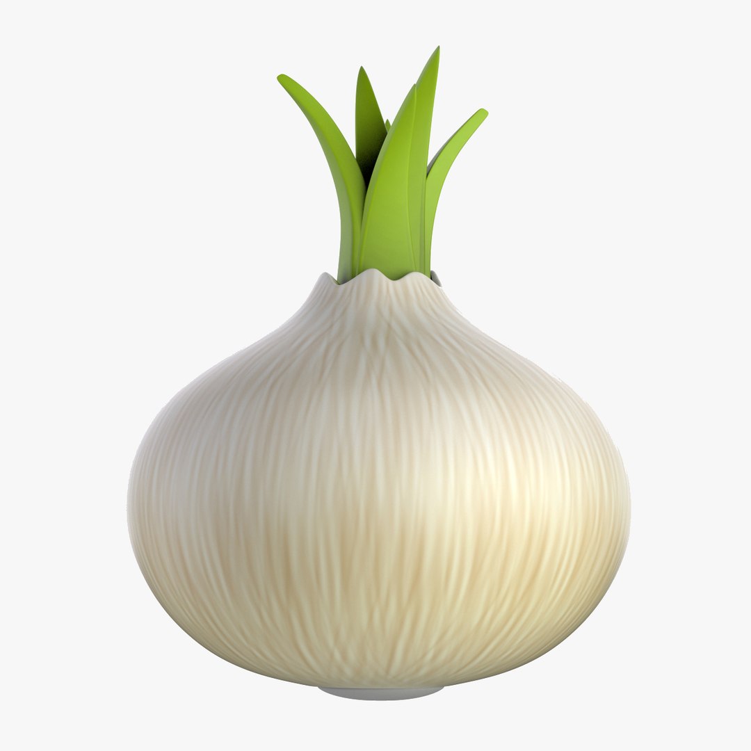 3D model cartoon onion vegetable - https://p.turbosquid.com/ts-thumb/Pu/hDrrq1/DVLs4A5O/06/jpg/1505513912/1920x1080/fit_q87/1f2ffd45da80620196386b4bb912c88f5667a7ec/06.jpg