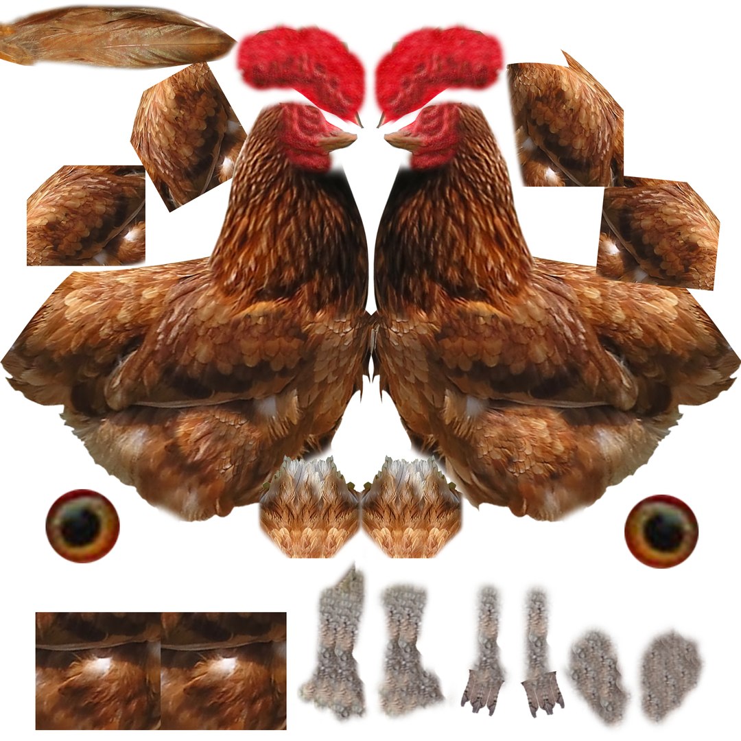 3d model of mapped