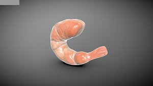 3D model Shrimp