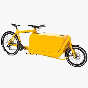 Cargo Bike with Metal Box