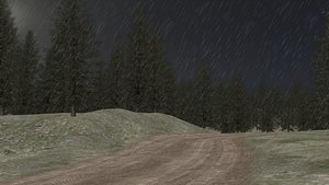 road forest 3d model