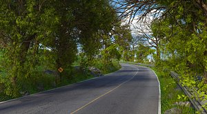 Forest Mountain Road