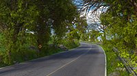 Forest Mountain Road