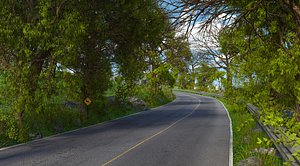 Forest Mountain Road