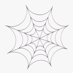 3D spiderweb model