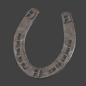 horse shoe