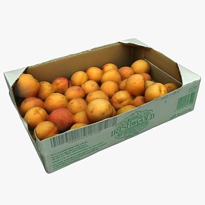 3D Cardboard Box with Apricots 04 model