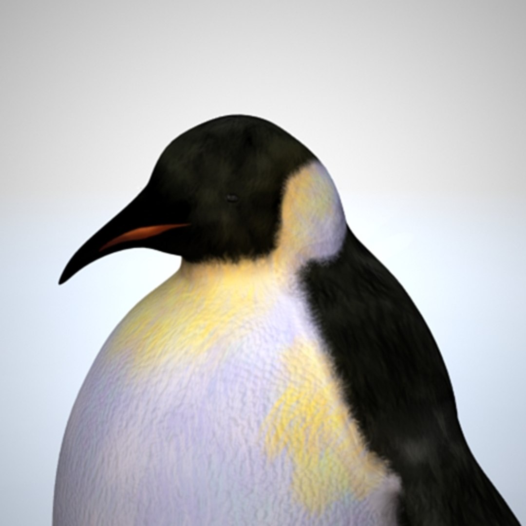 penguin 3d lwo https://p.turbosquid.com/ts-thumb/Pv/UeLtfg/zCTo3RiQ/penguina_0010/jpg/1299480206/1920x1080/fit_q87/c1965c52f0b7276a23050c86698ae09fa7dbf2bd/penguina_0010.jpg