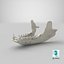 Real European Badger ( Meles Meles ) Jaw 01 L 3D model