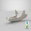 Real European Badger ( Meles Meles ) Jaw 01 L 3D model