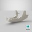 Настоящий европейский барсук (Meles Meles) Jaw 01 L