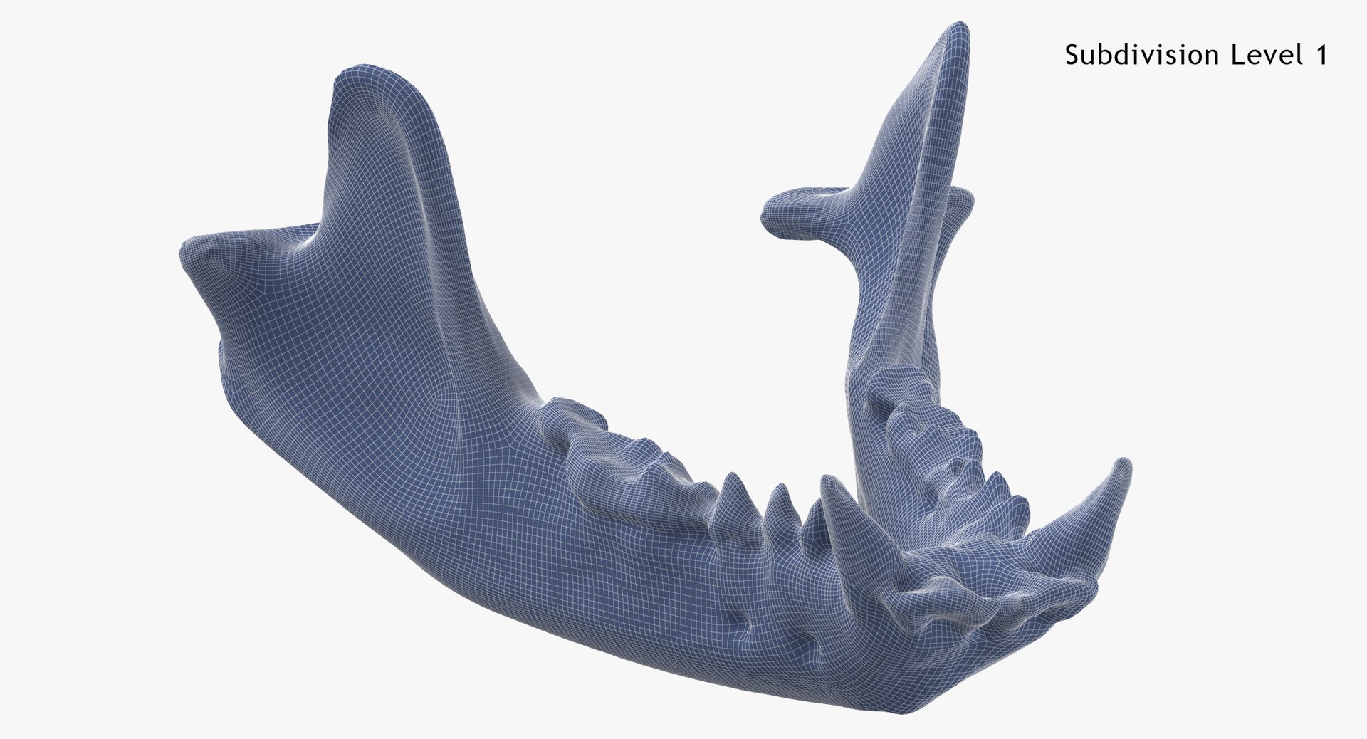 Real European Badger ( Meles Meles ) Jaw 01 L 3D model https://p.turbosquid.com/ts-thumb/Pv/VDOAcq/lL/european_badger__meles_meles__jaw_01_l_subdiv1_0001/jpg/1637579942/1920x1080/fit_q87/20aba4feee0bb3007899ef9c9397a16eb84aea5f/european_badger__meles_meles__jaw_01_l_subdiv1_0001.jpg