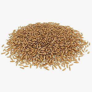 3D model realistic brown rice 2