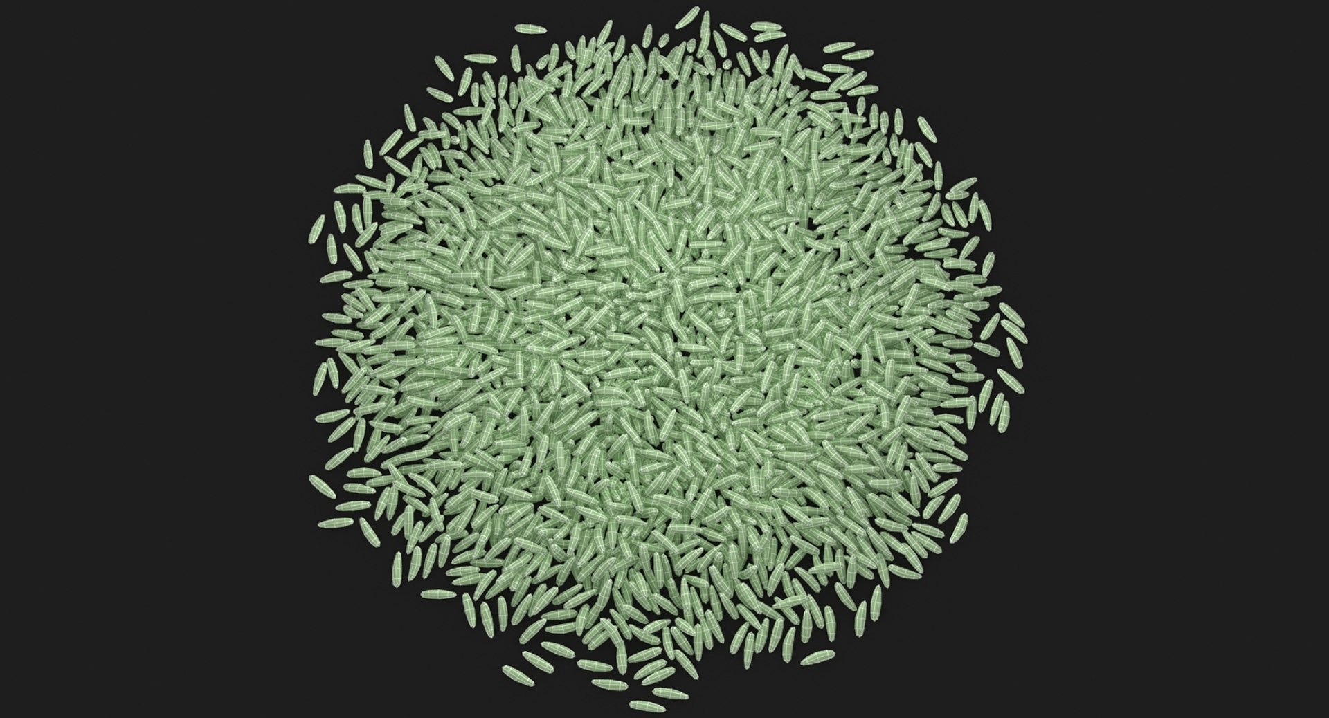 3D model realistic brown rice 2 https://p.turbosquid.com/ts-thumb/Pv/mhjVkD/RG2lJSDZ/15/jpg/1498201049/1920x1080/fit_q87/01cfc118a511dd1f54838af7ea15ced58515b2c5/15.jpg