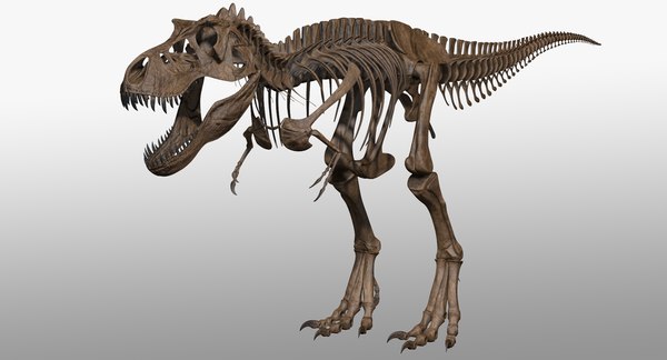 T Rex Tiranossauro Rex Esqueleto Dinossauro Brinquedo Animal Modelo Coletor  Super Decoração Tiranossauro Rex Esqueleto - Kits De Construção De Modelos  - AliExpress