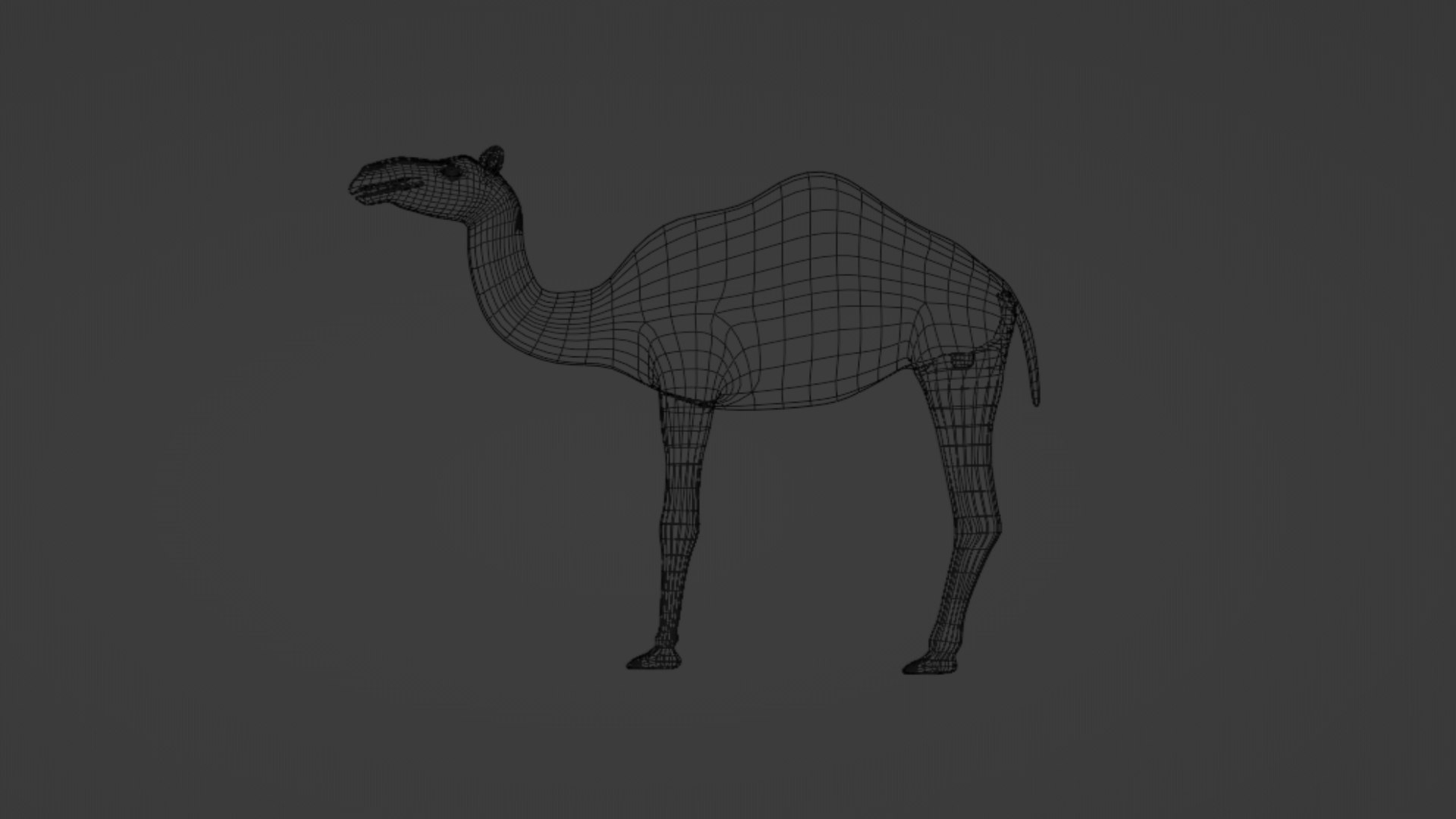 3D Camel 3D Model https://p.turbosquid.com/ts-thumb/Pv/zNOUuA/uO/camel9/png/1732382428/1920x1080/fit_q87/3d80e9d9db417613728ef84038c3bea48bc14ced/camel9.jpg