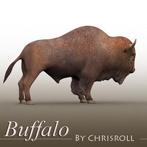 3d buffalo bison model