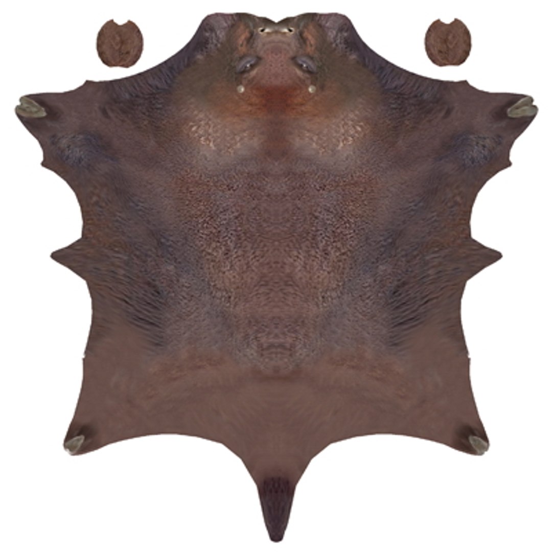 3d Buffalo Bison Model