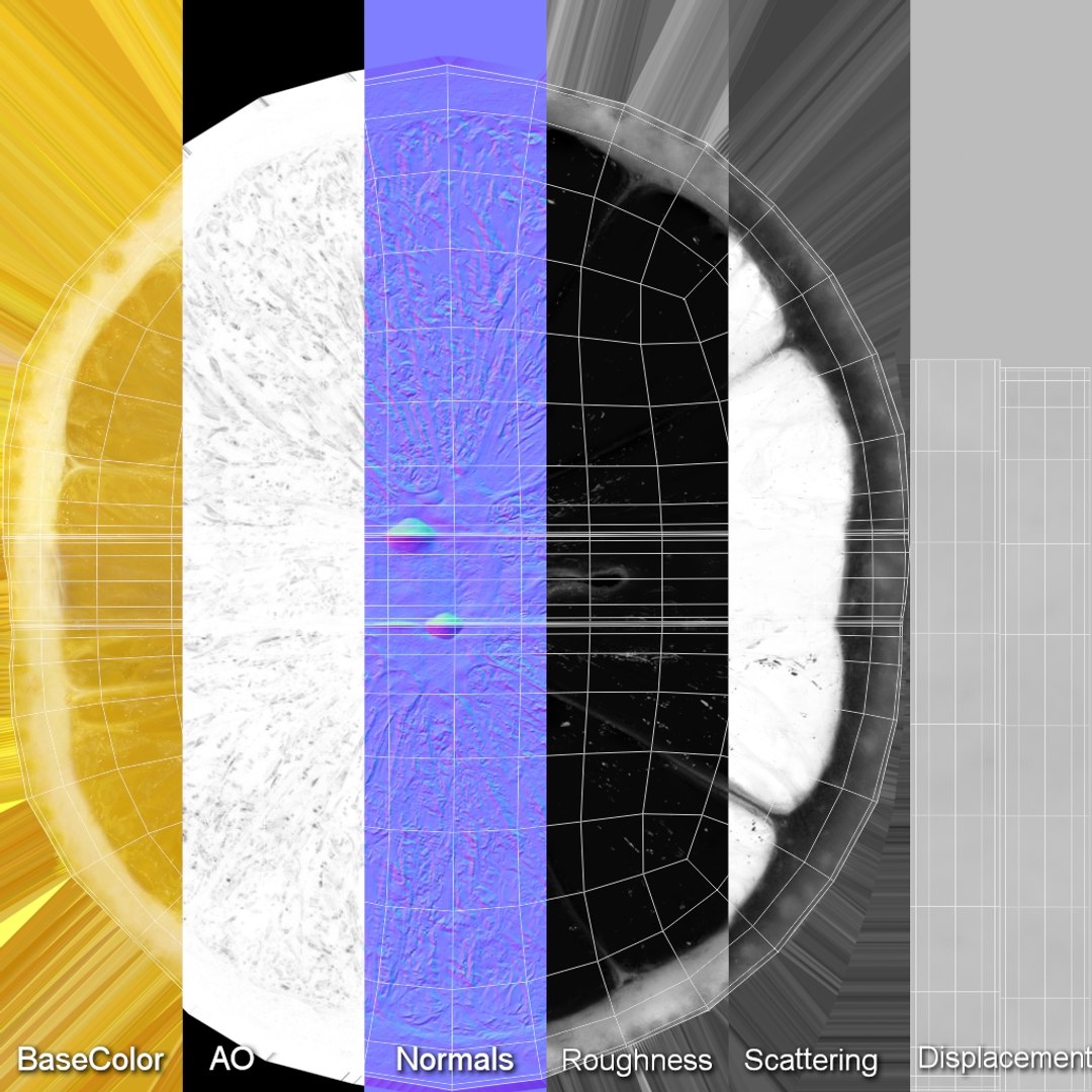 3D Lemon Slice 2 - TurboSquid 2410845