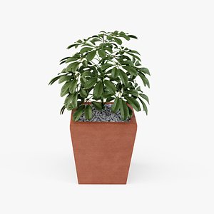 3D plant design modeled