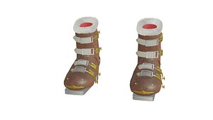 Ski Boots