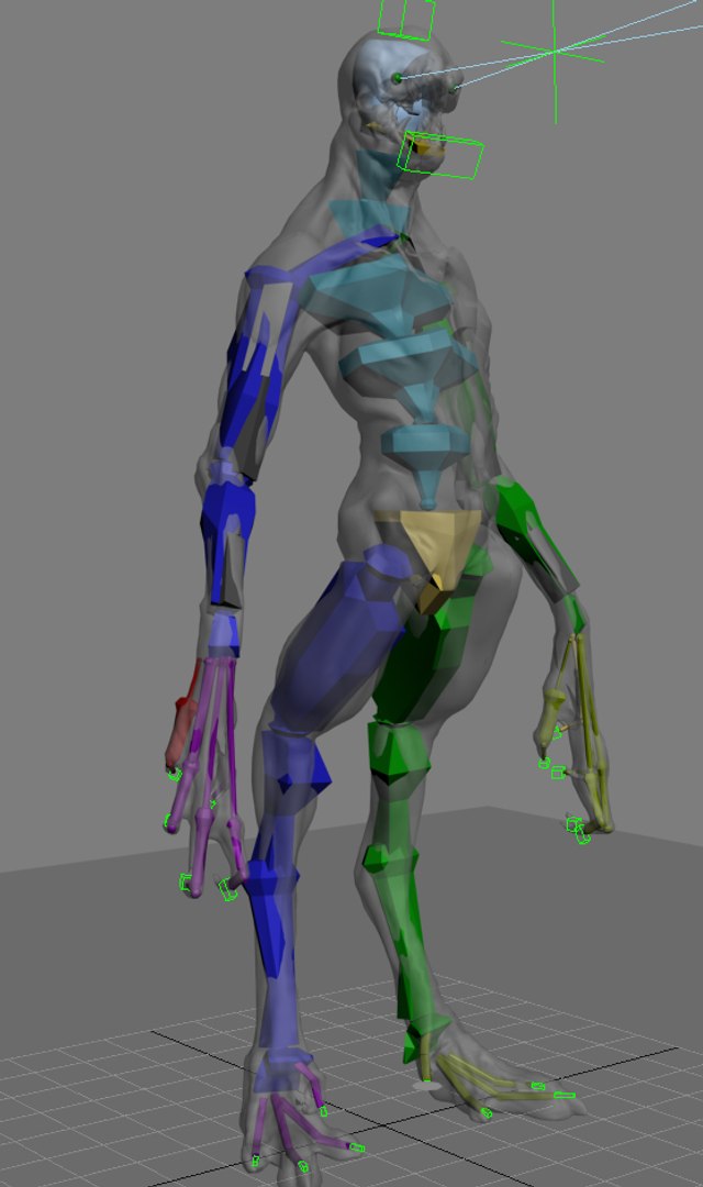 rigging skin 3d model