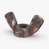Wingnut 02 Dirty