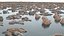 5 islas de rocas
