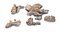 5 islas de rocas