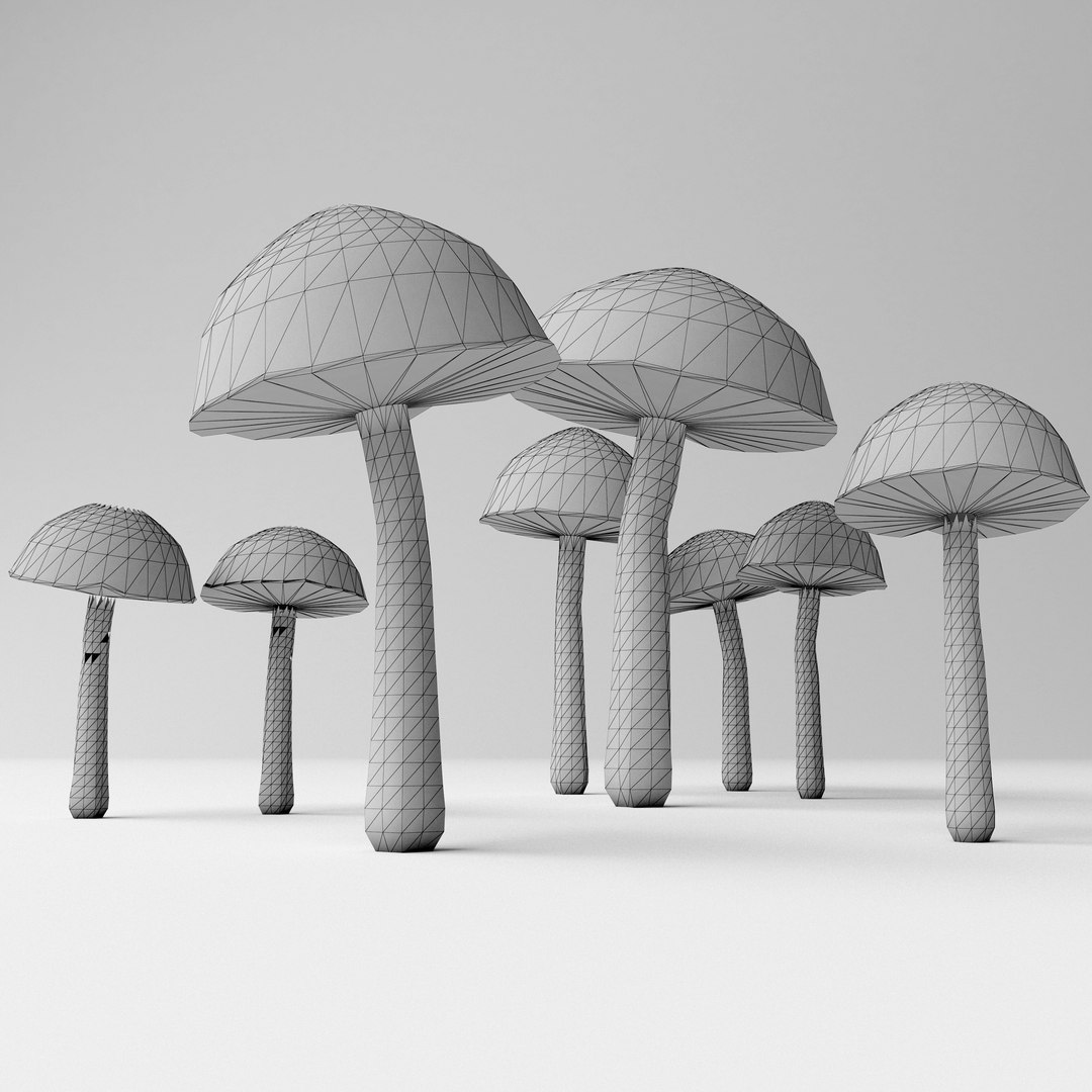 bolete mushrooms 3D model https://p.turbosquid.com/ts-thumb/Pw/oKZqqH/LI4v0GBI/5/jpg/1584378365/1920x1080/fit_q87/3875e3712900efe637e19762398077c4f6a04edb/5.jpg