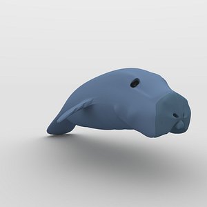 Florida Manatee