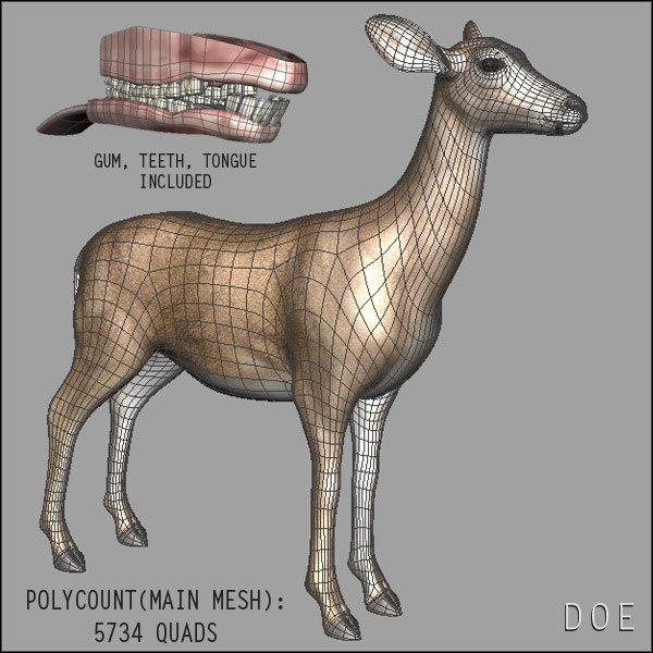 doe deer 3d obj