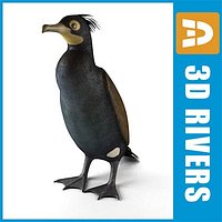 Spectacled cormorant by 3DRivers