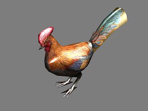 chicken rooster bird 3d max