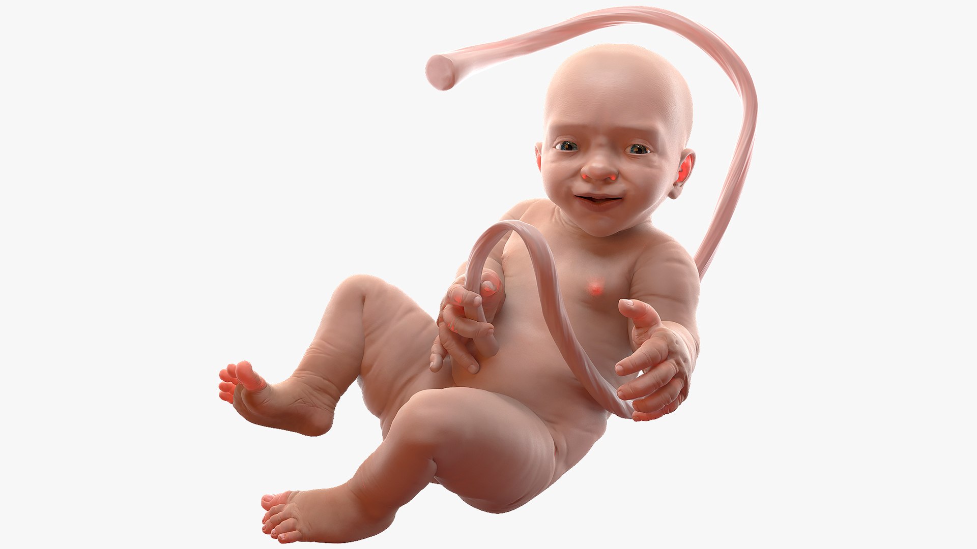 Baby Boy at 38 Weeks Rigged for Maya 3D model preview