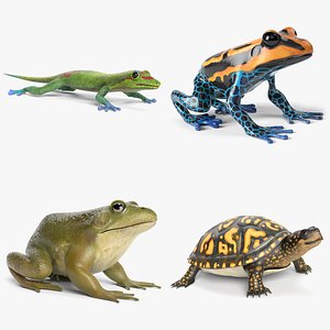 Reptile and Amphibian Set