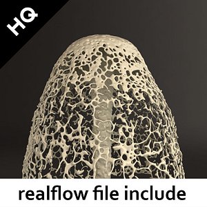 3d model splash realflow flow