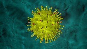 3D coronavirus virus model