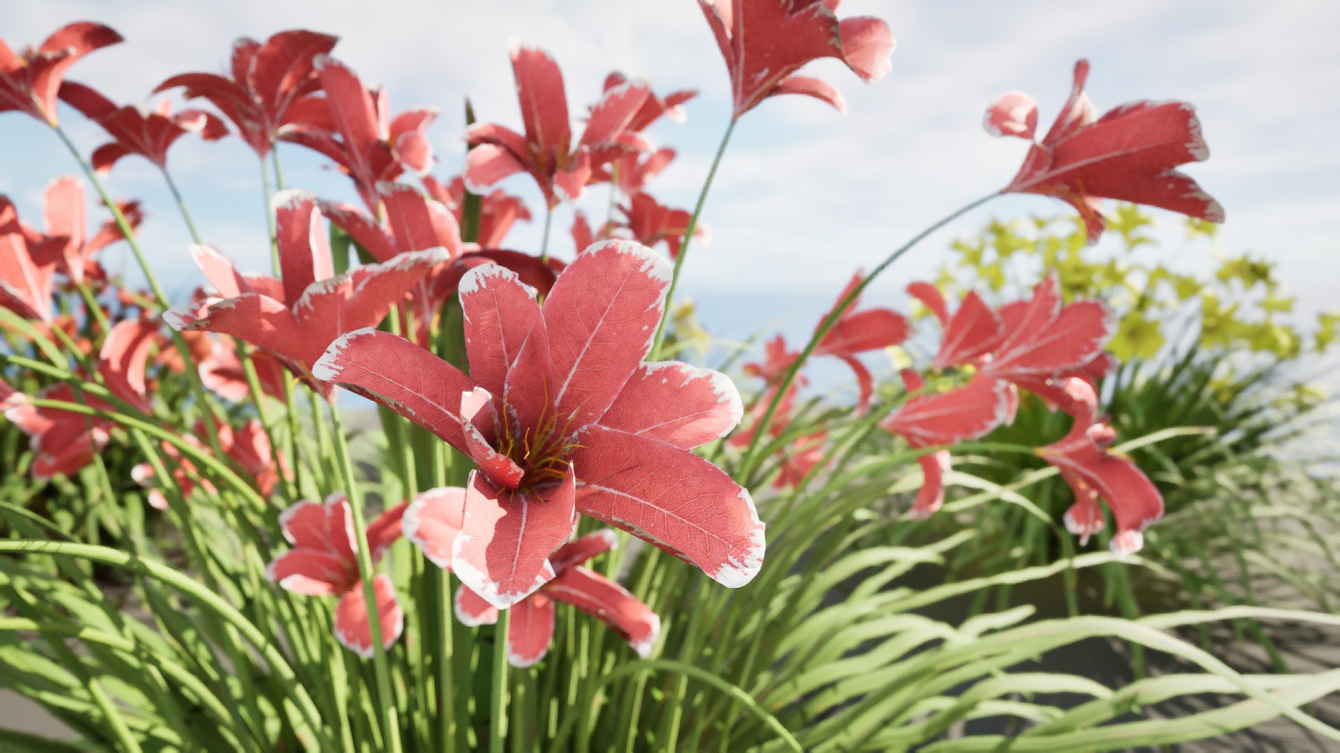 3D model Happy Returns Daylily with 4 colors https://p.turbosquid.com/ts-thumb/Px/hNAeZi/bt/highresscreenshot00004/jpg/1707214644/1920x1080/fit_q87/1e23918d7d0b6da4d538e303828538d84b1f9676/highresscreenshot00004.jpg