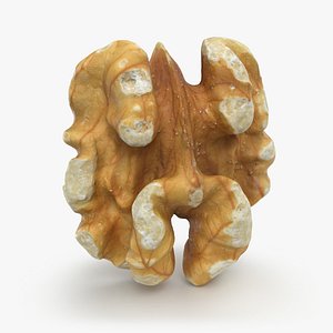 Walnut 01 - 3D Scanned