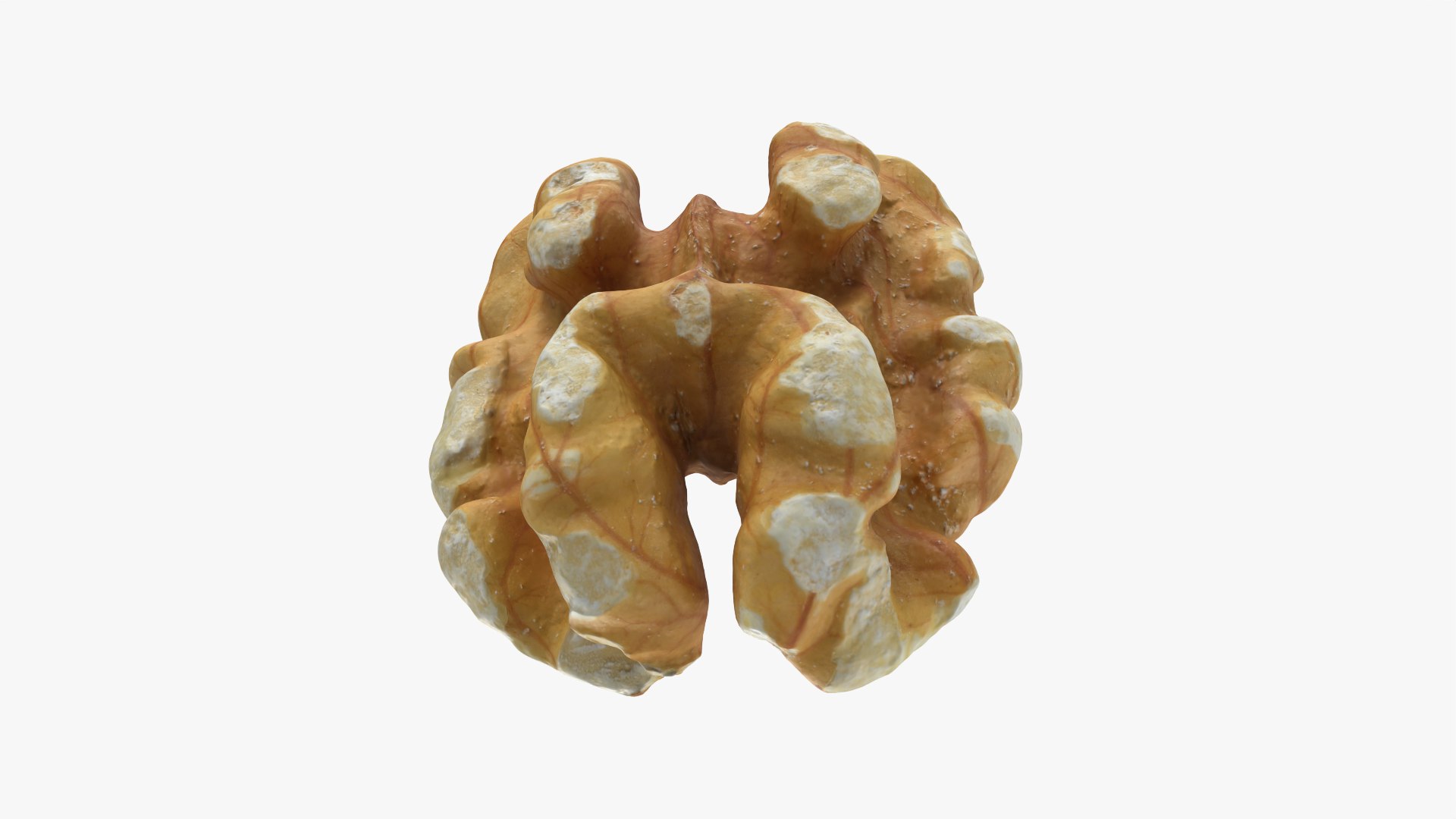 Walnut 01 - 3D Scanned 3D model https://p.turbosquid.com/ts-thumb/Px/rhJntW/6g/walnut01_0010/png/1772025480/1920x1080/fit_q87/df64edb3740154d27f446590e471566e0dc86ff6/walnut01_0010.jpg