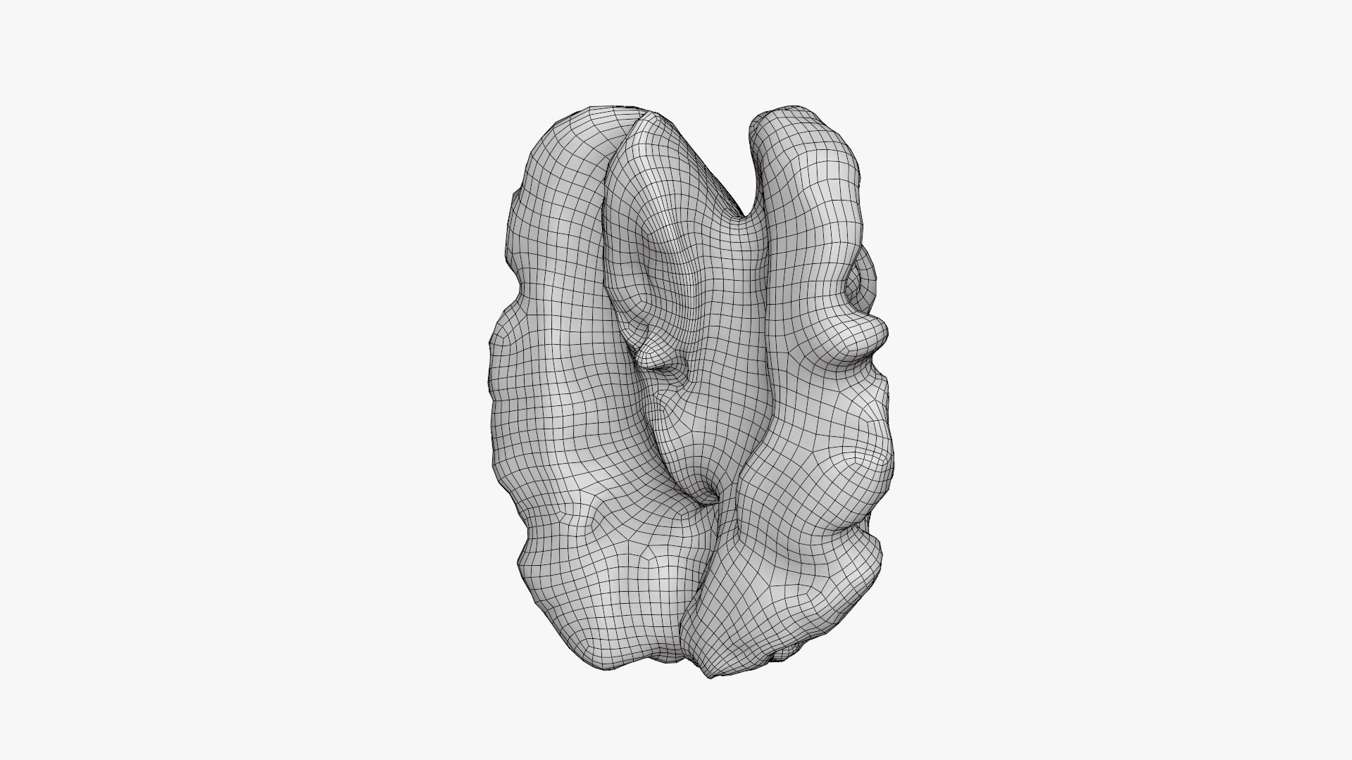 Walnut 01 - 3D Scanned 3D model https://p.turbosquid.com/ts-thumb/Px/rhJntW/8n/walnut01_d0007/png/1772025480/1920x1080/fit_q87/e12794f2a4a1906a5f9301c420623382ce33b6c8/walnut01_d0007.jpg