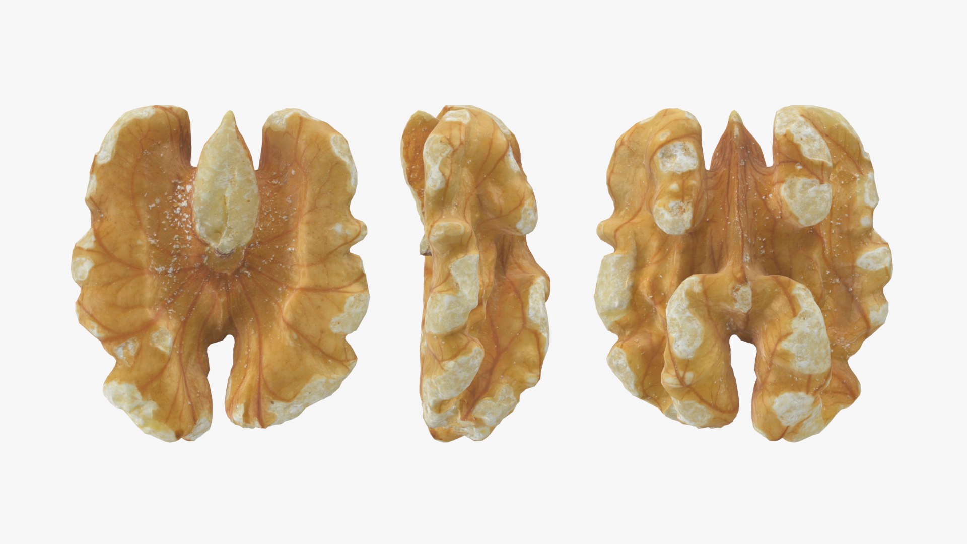 Walnut 01 - 3D Scanned 3D model https://p.turbosquid.com/ts-thumb/Px/rhJntW/Bc/walnut01_0001b/png/1772025466/1920x1080/fit_q87/cdbfcedcdb819c3b04e0f86ec5bb093905de76f8/walnut01_0001b.jpg