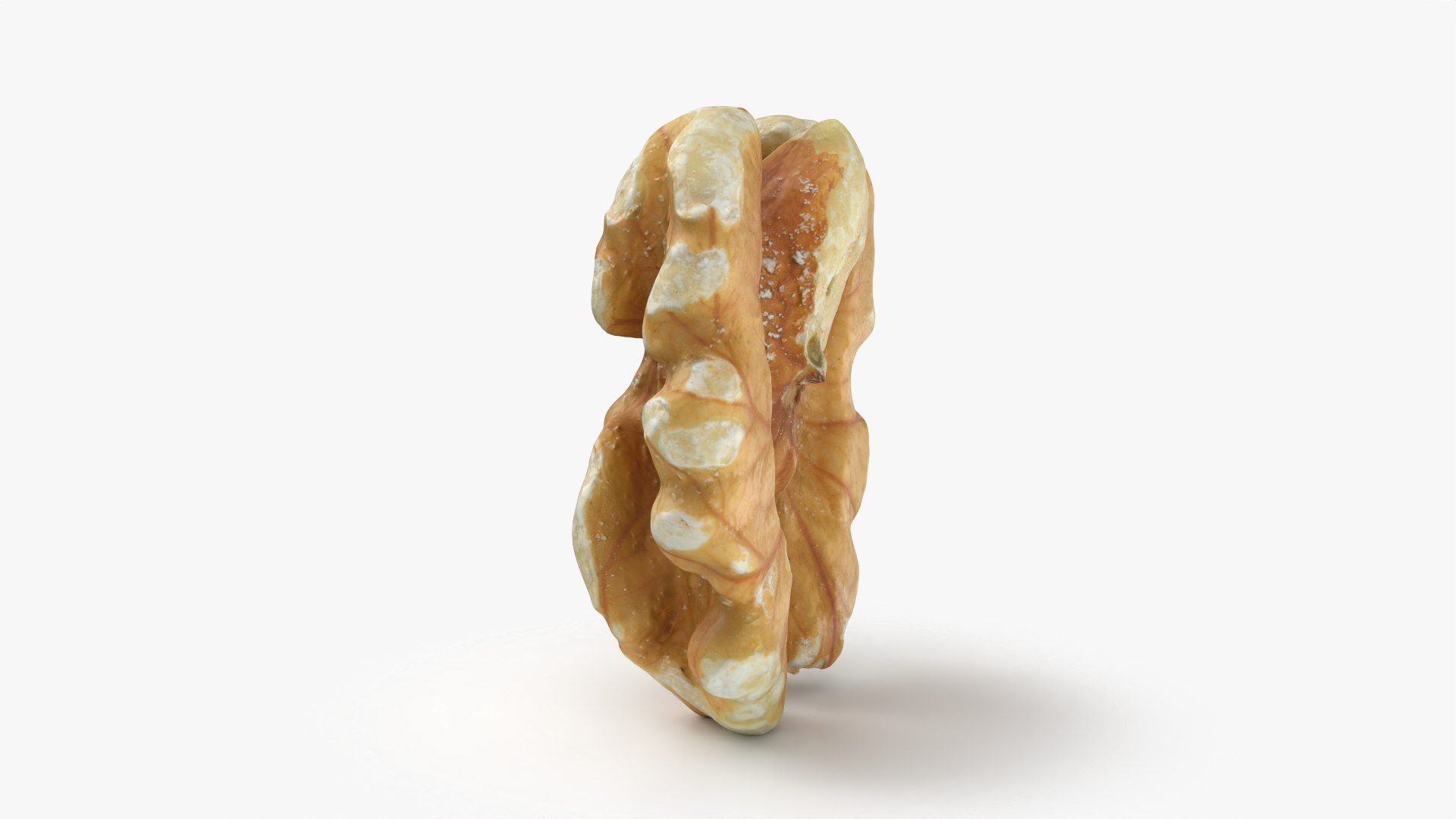 Walnut 01 - 3D Scanned 3D model https://p.turbosquid.com/ts-thumb/Px/rhJntW/LG/walnut01_0004/png/1772025470/1920x1080/fit_q87/4998ef9e0f164c754e4be10f1125485b80d0067d/walnut01_0004.jpg