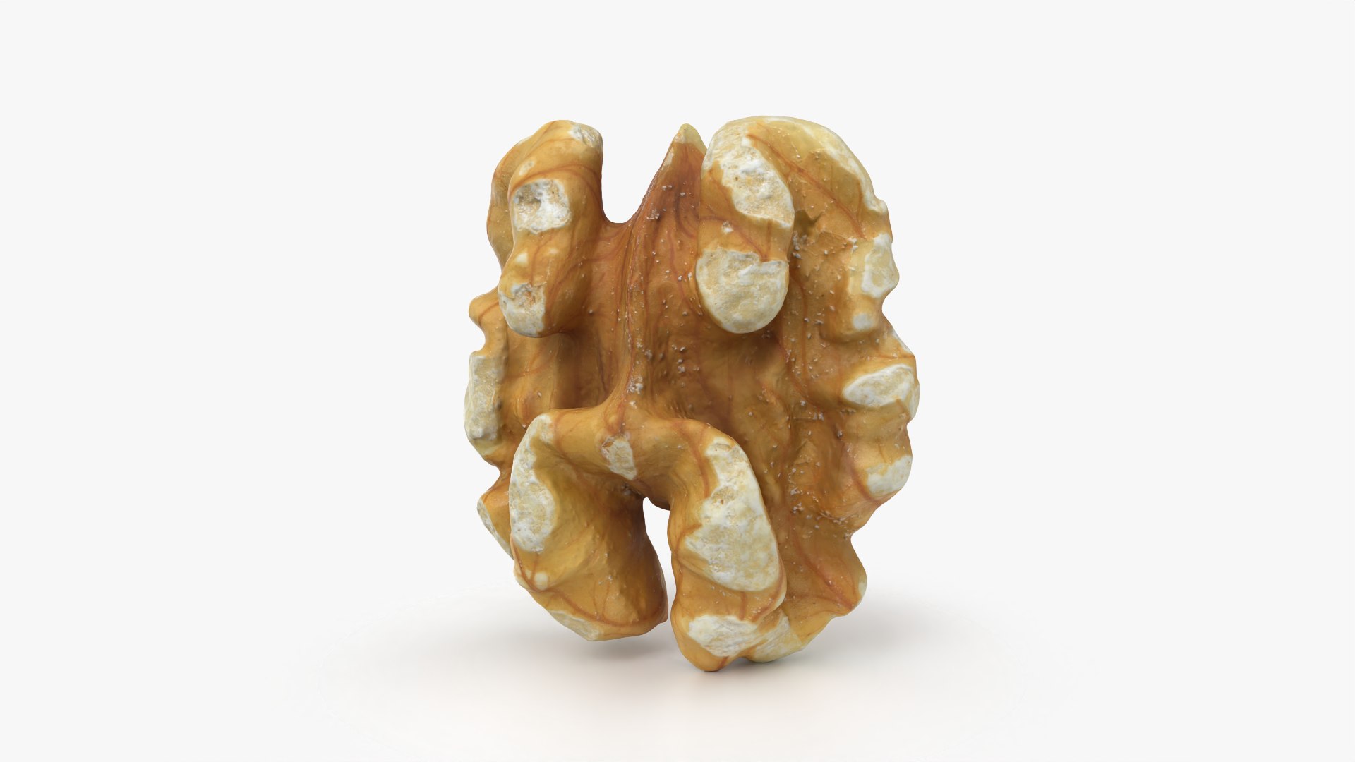 Walnut 01 - 3D Scanned 3D model https://p.turbosquid.com/ts-thumb/Px/rhJntW/UZ/walnut01_0003/png/1772025471/1920x1080/fit_q87/49779bb63702d4d04842e1cc9c21719310ca0131/walnut01_0003.jpg