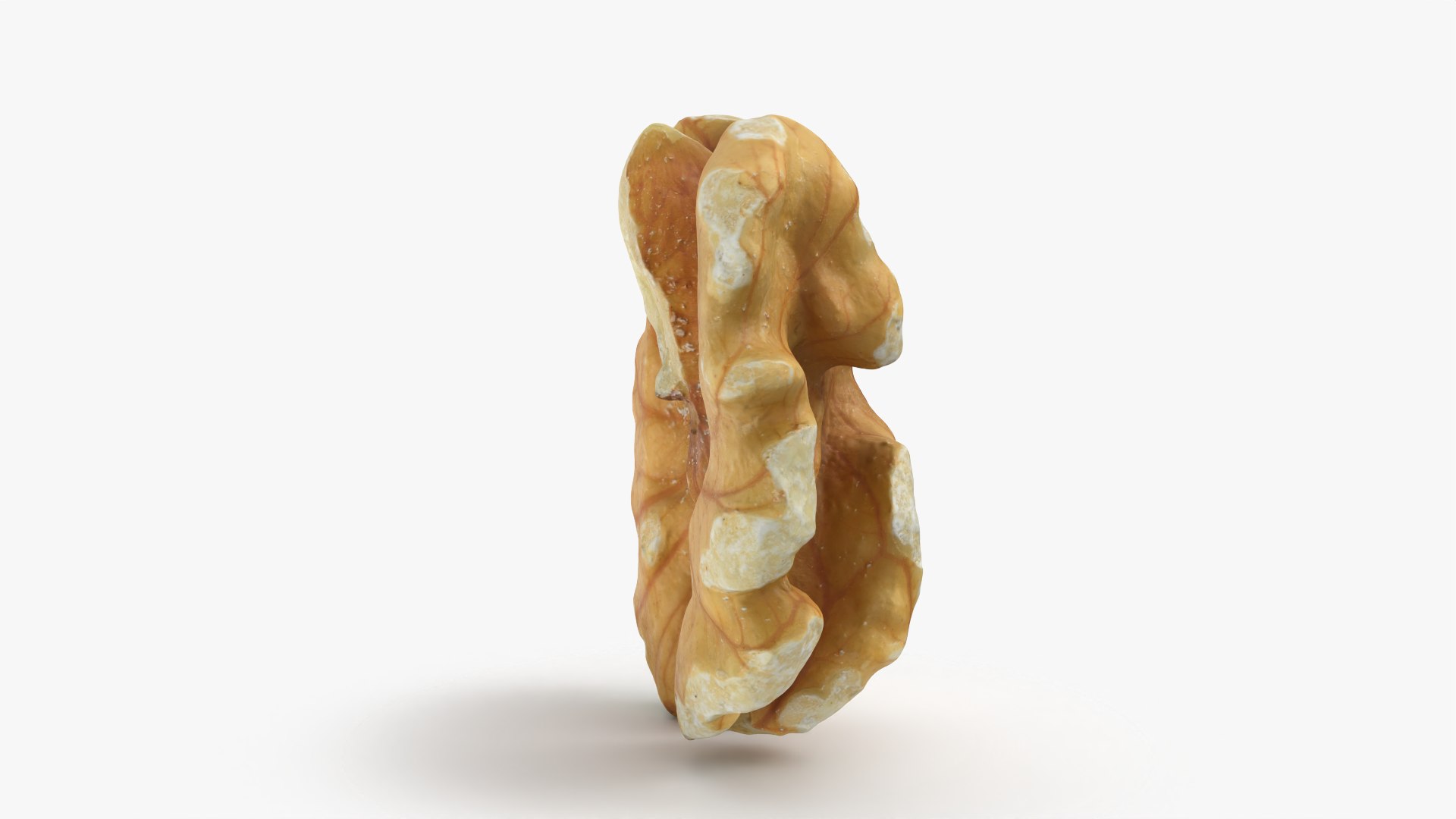 Walnut 01 - 3D Scanned 3D model https://p.turbosquid.com/ts-thumb/Px/rhJntW/ZP/walnut01_0006/png/1772025473/1920x1080/fit_q87/ec2f825f8264c8dfc10ef35549e433637f35c651/walnut01_0006.jpg