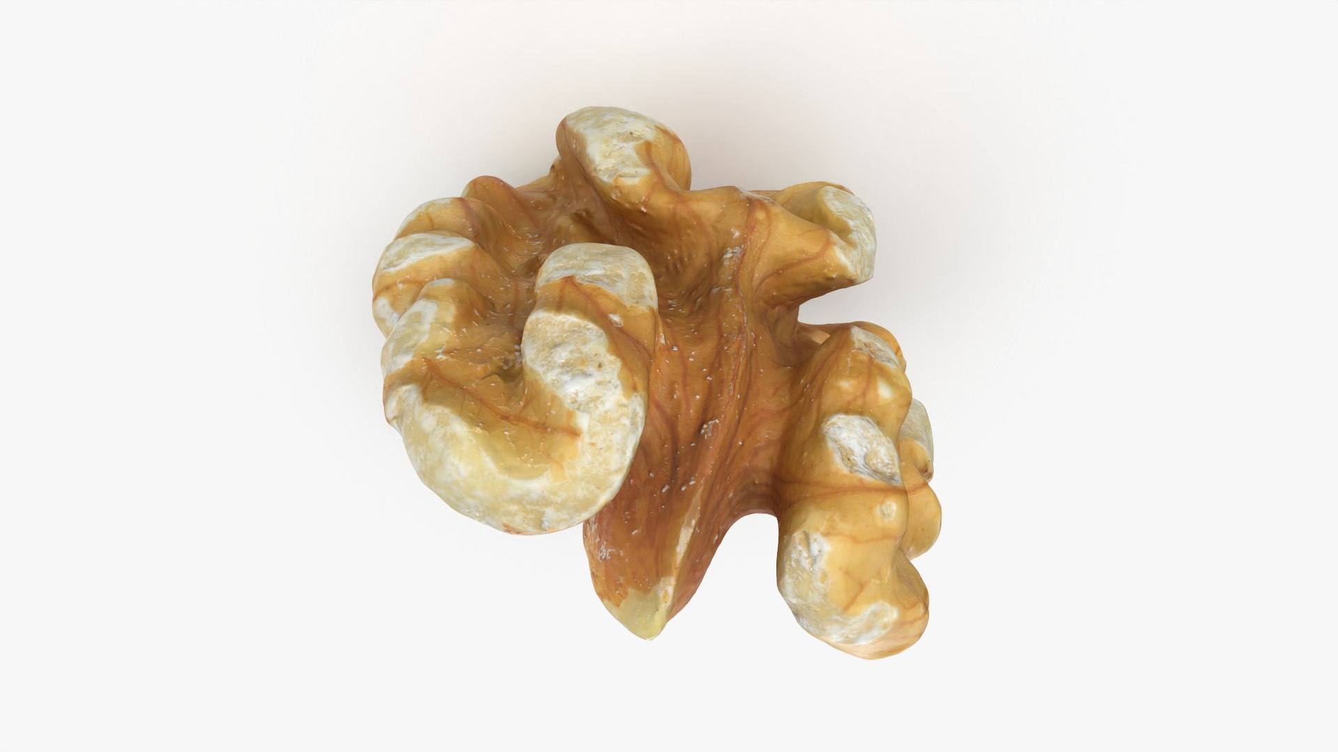 Walnut 01 - 3D Scanned 3D model https://p.turbosquid.com/ts-thumb/Px/rhJntW/gx/walnut01_0008/png/1772025478/1920x1080/fit_q87/547fcb301df680e7baf1f9f05163363e6b083abf/walnut01_0008.jpg