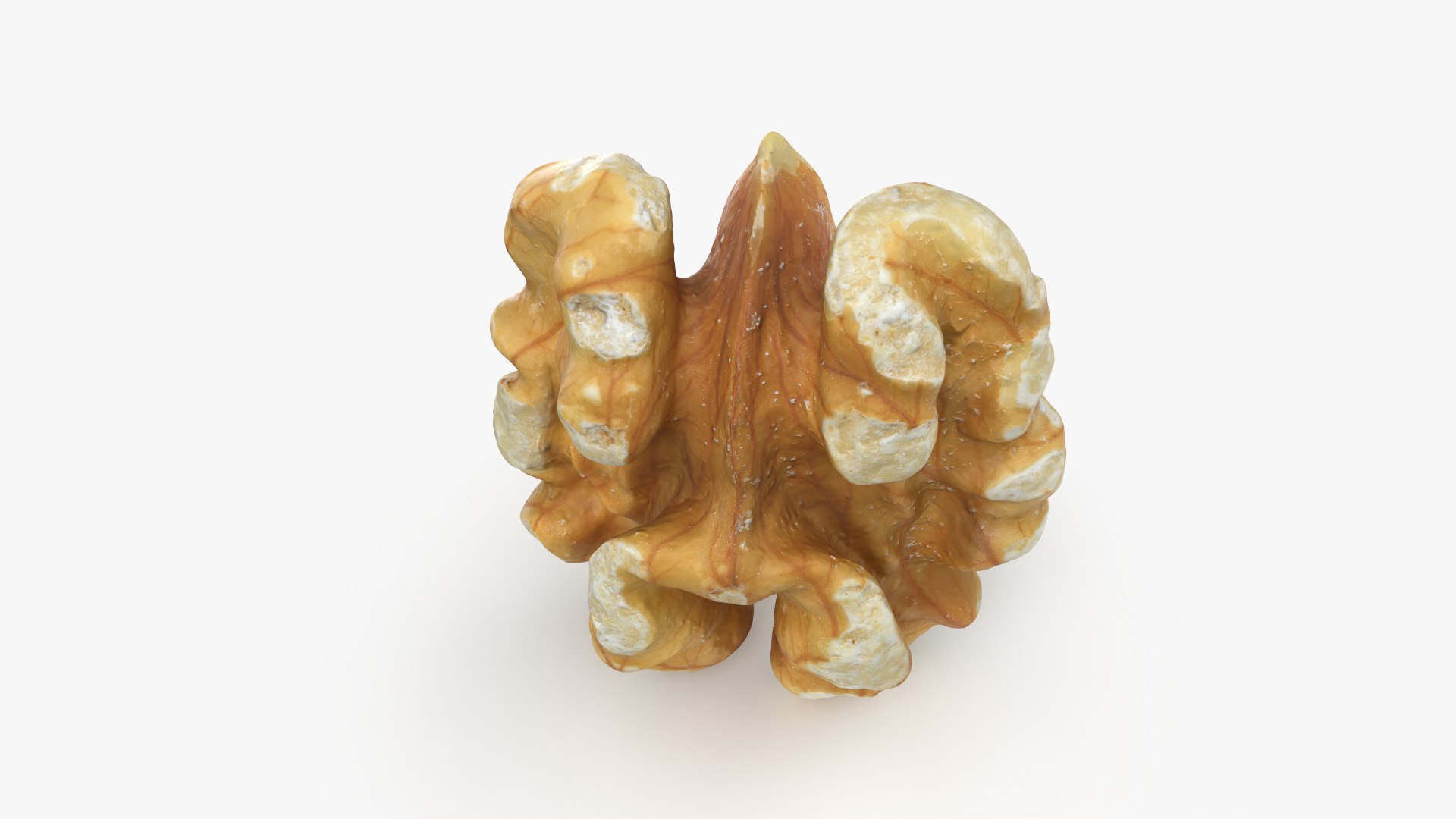 Walnut 01 - 3D Scanned 3D model https://p.turbosquid.com/ts-thumb/Px/rhJntW/ik/walnut01_0005/png/1772025475/1920x1080/fit_q87/931a8b5dfe777de01e602f42cd147a3e343f0116/walnut01_0005.jpg
